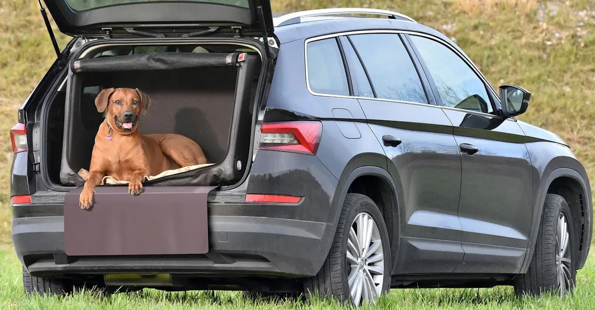TAMI Auto & Home aufblasbare Hundebox mit Airbagfunktion braun L 95x82x66cm