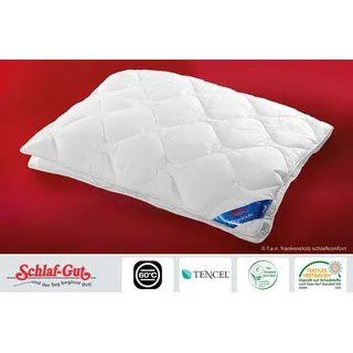 schlafgut Schlaf-Gut Lyocell Ganzjahresdecke Steppbett Größe 155x220 cm