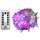 Gartenpirat LED Lichterkette 76 m Multicolor Transparent