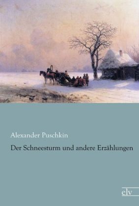 Der Schneesturm Und Andere Erzählungen - Alexander S. Puschkin  Kartoniert (TB)