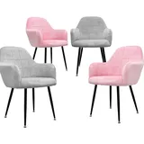 ECD Germany 4er Set Esszimmerstühle Esszimmerstuhl Wohnzimmerstühle Stühle Samt Grau Rosa