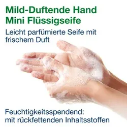 TORK Flüssigseife mild duftend 425502 525ml System S5