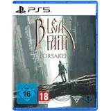 Bleak Faith Forsaken PS5