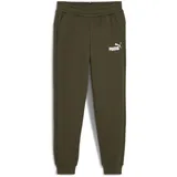 Puma Jungen Logo Pants FL cl B Gestrickte Hosen, Dark olive 152