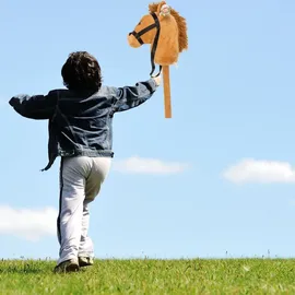Out of the Blue Happy Horse Pferd Braun