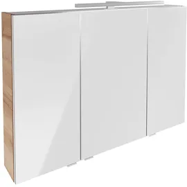 Fackelmann LED-Spiegelschrank B.Brillant 100 cm Asteiche