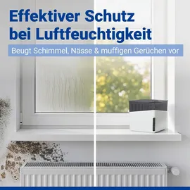 Wenko Raumentfeuchter Cube