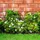 Floordirekt Gartenzaun Ziergeflecht 2500 x 40 cm Grün