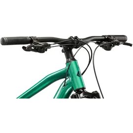 KROSS Hexagon 3.0 29 Zoll RH 43 cm blau