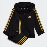 Adidas Essentials Shiny Hooded Trainingsanzug Black / Gold Metallic 80