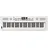 Roland GO:KEYS 5 61 Tasten Keyboard
