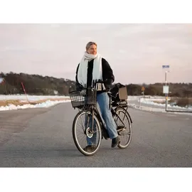 Atran Velo Fahrradkorb Bring M AVS Silber