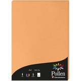 Clairefontaine 4208C Packung mit 50 Karten Pollen 120g, DIN A4, 21 x 29,7cm, Clementine