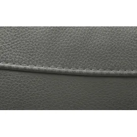 Wohnwert Sofa 2-sitzig aus Echtleder Ambra ¦ ¦ Maße (cm): B: 158 H: 102 T: 102.0