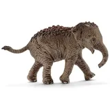 Schleich Wild Life Asiatisches Elefantenbaby 14755