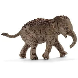 Schleich Wild Life Asiatisches Elefantenbaby 14755