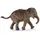 Schleich Wild Life Asiatisches Elefantenbaby 14755