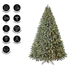 Dehner künstlicher LED-Weihnachtsbaum Finja, ca. H240 cm, Grün