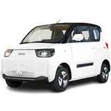 Stormborn City-Pony weiß