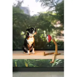 Piffany Copenhagen Mr. Wattson Rot