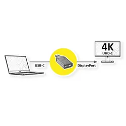 ROLINE Display Adapter USB Typ C - DisplayPort v1.2
