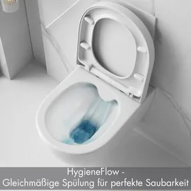 Sanicomfort Rivo mit WC-Sitz Weiß