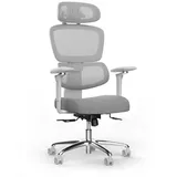 deskspace Move Pro Netzrücken Grau
