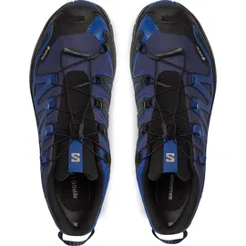 Salomon XA Pro 3D V9 GTX Herren Blue Print/Surf The Web/Lapis Blue 42