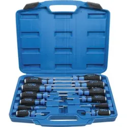 BGS Schraubendreher-Satz mit 6,3 mm (1/4 Zoll) Innenvierkant 12-tlg. 7896