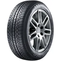 Aptany Winter-MAX U1 RW611 195/65 R15 91T