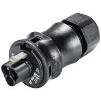Wieland 96.032.0053.1 Rundstecker Stecker, gerade Gesamtpolzahl: 3 1 St.