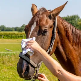KerbEx Spezial Öl Insektenschutz 100ml