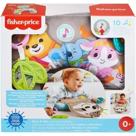 Fisher-Price Faultier-Spielkissen Mehrfarbig