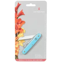 Victorinox Okuliermesser EcoLine