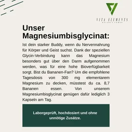 vita elements nature's power Magnesiumbisglycinat Kapseln 180 St.