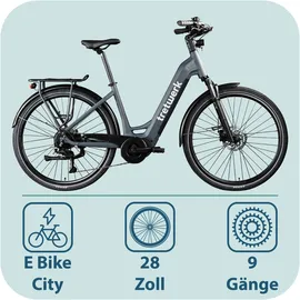Tretwerk Amber 2023 28 Zoll RH 48 cm Damen dunkelgrau