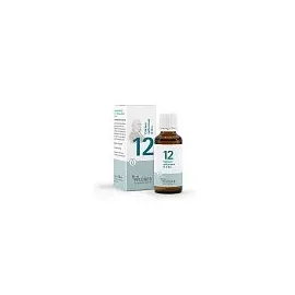 Homöopathisches Laboratorium Alexander Pflüger GmbH & Co. KG Biochemie Pflüger 12 Calcium sulfuricum D 6