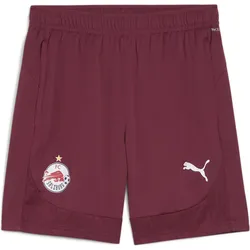 Puma RBS Training Shorts team regal red-puma white (09) M