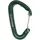 Wild Country Astro Schnappkarabiner Grün