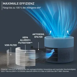 Rowenta Pure Air Mini blau