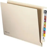 Leitz Leitz, Einstellmappe OrgacolorPlus, A4, mit Tab, chamois