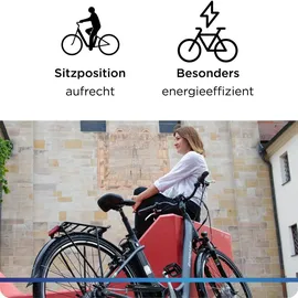 Zündapp Green 2.7 2021 26 Zoll RH 46 cm Damen grau