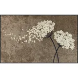SALONLOEWE - - 75 x 120 cm