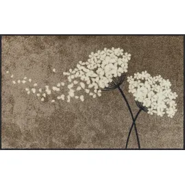 SALONLOEWE - - 75 x 120 cm