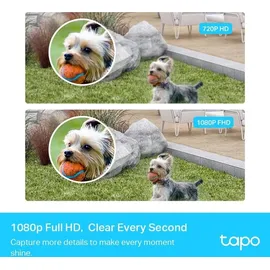 Tapo C400S2 2 Kameras