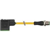 Murrelektronik M12 Stecker gerade 7000-40961-2260100