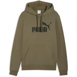 Puma Hoodie Loden Green XXL