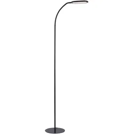 just light. Kelly 14406-18 Schwarz