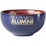 abysse corp sas HARRY POTTER - Bowl - 600 ml - "Hogwarts Alumni" cardboard box
