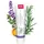 Splat Zahnpasta Lavendel 100 ml